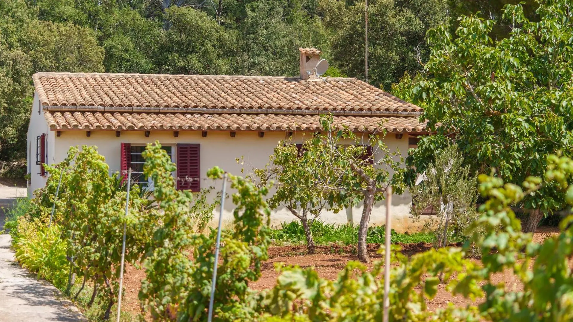 Holiday Home Ullastro Pollenca By Interhome